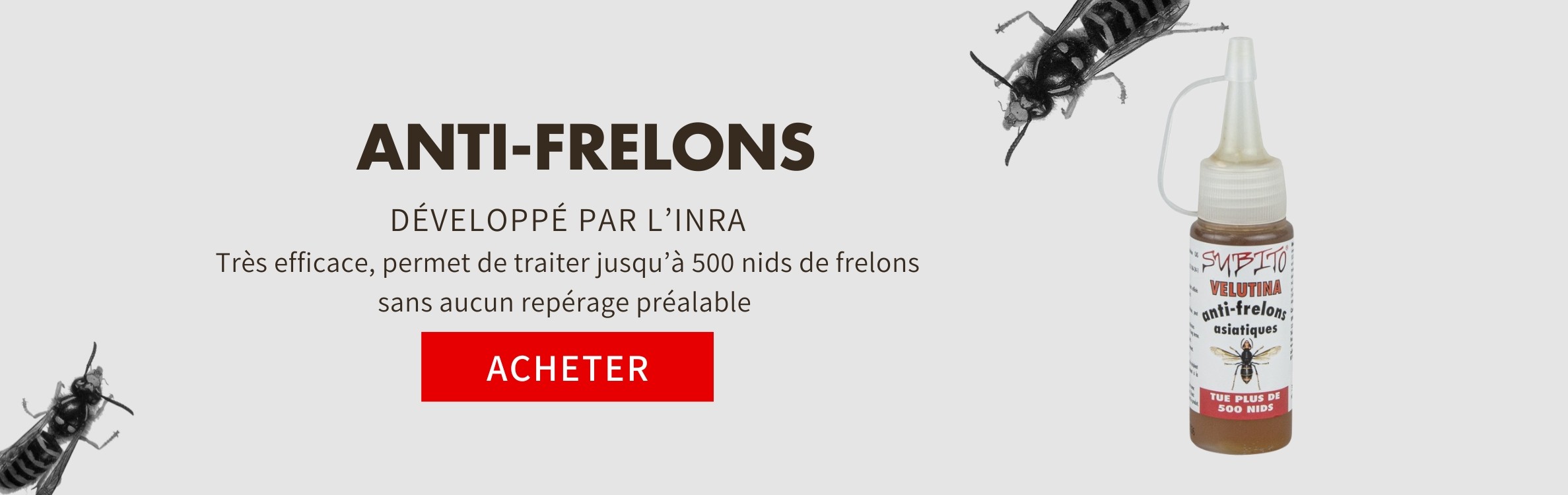 Insecticide anti frelons